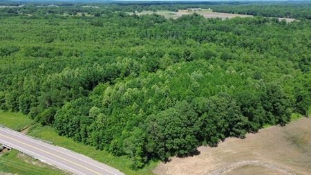 Land For Sale In Tn, 107 Acres, Hunting, Wetland, Crp Income - image 19