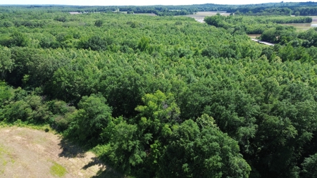 Land For Sale In Tn, 107 Acres, Hunting, Wetland, Crp Income - image 14