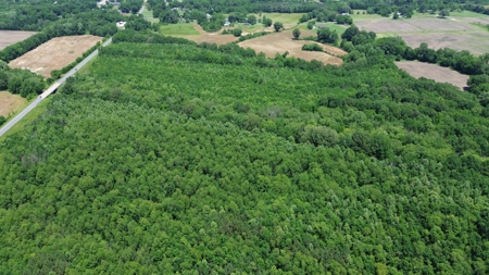 Land For Sale In Tn, 107 Acres, Hunting, Wetland, Crp Income - image 28