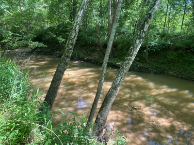 Land For Sale In Tn, 107 Acres, Hunting, Wetland, Crp Income - image 8