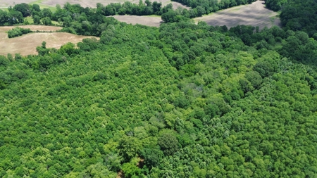 Land For Sale In Tn, 107 Acres, Hunting, Wetland, Crp Income - image 25