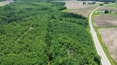 Land For Sale In Tn, 107 Acres, Hunting, Wetland, Crp Income - image 4