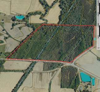 Land For Sale In Tn, 107 Acres, Hunting, Wetland, Crp Income - image 3