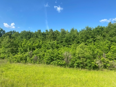 Land For Sale In Tn, 107 Acres, Hunting, Wetland, Crp Income - image 11