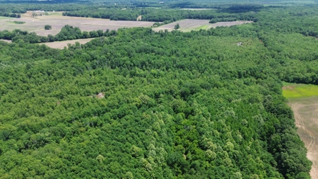 Land For Sale In Tn, 107 Acres, Hunting, Wetland, Crp Income - image 29
