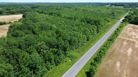 Land For Sale In Tn, 107 Acres, Hunting, Wetland, Crp Income - image 13