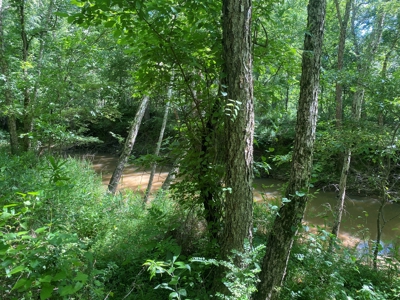 Land For Sale In Tn, 107 Acres, Hunting, Wetland, Crp Income - image 6