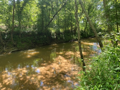 Land For Sale In Tn, 107 Acres, Hunting, Wetland, Crp Income - image 5