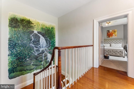 Culpeper's Val Verde: A Blend of Heritage and Contemporary - image 19