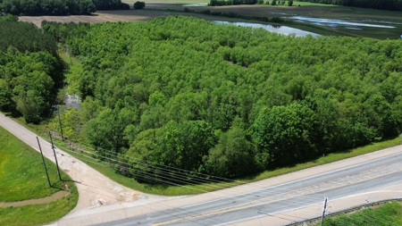 Land For Sale In Tn, 17 Acres, Wooded, Building Site, Crp - image 11