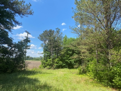 Land For Sale In Tn, 17 Acres, Wooded, Building Site, Crp - image 5