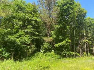 Land For Sale In Tn, 17 Acres, Wooded, Building Site, Crp - image 31
