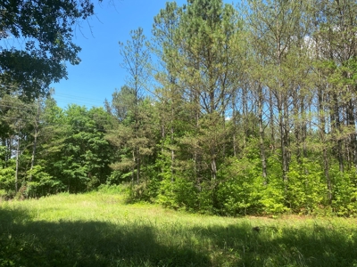 Land For Sale In Tn, 17 Acres, Wooded, Building Site, Crp - image 27