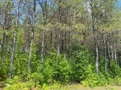 Land For Sale In Tn, 17 Acres, Wooded, Building Site, Crp - image 33