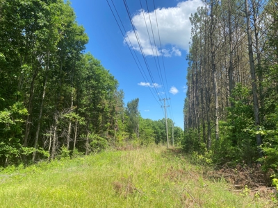 Land For Sale In Tn, 17 Acres, Wooded, Building Site, Crp - image 30