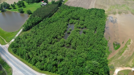 Land For Sale In Tn, 17 Acres, Wooded, Building Site, Crp - image 2