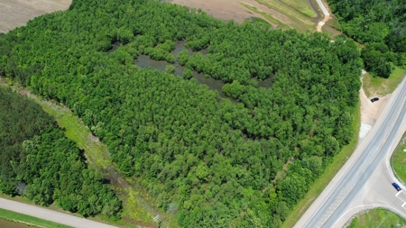 Land For Sale In Tn, 17 Acres, Wooded, Building Site, Crp - image 19