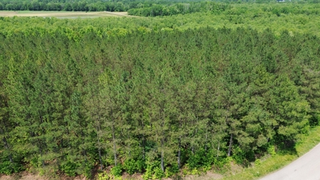 Land For Sale In Tn, 17 Acres, Wooded, Building Site, Crp - image 6