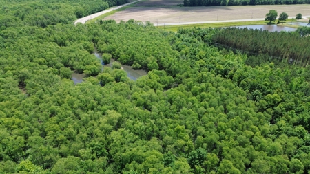 Land For Sale In Tn, 17 Acres, Wooded, Building Site, Crp - image 14