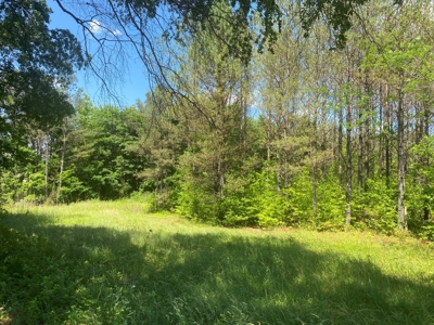 Land For Sale In Tn, 17 Acres, Wooded, Building Site, Crp - image 25