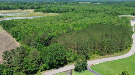 Land For Sale In Tn, 17 Acres, Wooded, Building Site, Crp - image 7