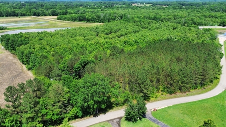 Land For Sale In Tn, 17 Acres, Wooded, Building Site, Crp - image 24