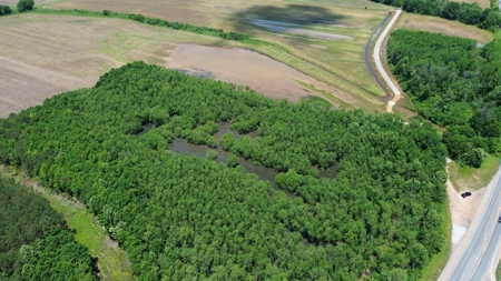 Land For Sale In Tn, 17 Acres, Wooded, Building Site, Crp - image 18