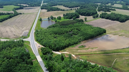Land For Sale In Tn, 17 Acres, Wooded, Building Site, Crp - image 17
