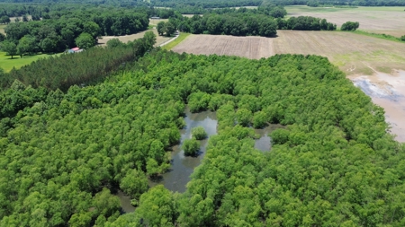 Land For Sale In Tn, 17 Acres, Wooded, Building Site, Crp - image 16