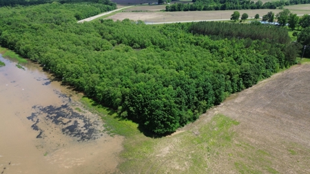 Land For Sale In Tn, 17 Acres, Wooded, Building Site, Crp - image 10