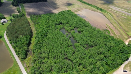 Land For Sale In Tn, 17 Acres, Wooded, Building Site, Crp - image 22