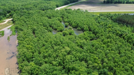 Land For Sale In Tn, 17 Acres, Wooded, Building Site, Crp - image 13