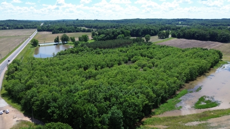 Land For Sale In Tn, 17 Acres, Wooded, Building Site, Crp - image 12