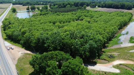 Land For Sale In Tn, 17 Acres, Wooded, Building Site, Crp - image 1