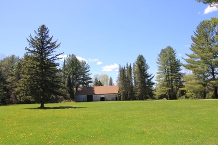 Riverfront Log Home 22 Acres  Hillman, MI Thunder Bay River - image 1