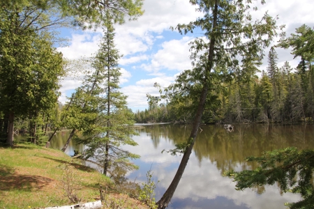 Riverfront Log Home 22 Acres  Hillman, MI Thunder Bay River - image 41