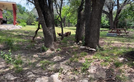 Peaceful 10.5-Acre Property in Gatesville, TX – Perfect for - image 13