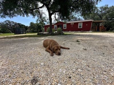 Peaceful 10.5-Acre Property in Gatesville, TX – Perfect for - image 33