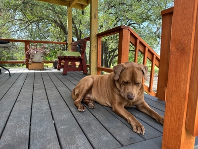 Peaceful 10.5-Acre Property in Gatesville, TX – Perfect for - image 14
