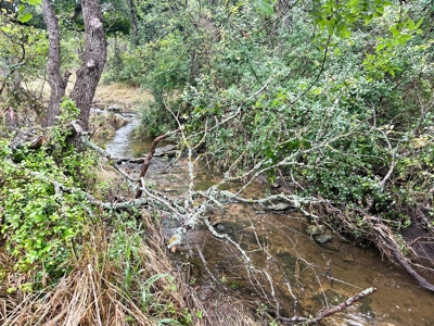 Peaceful 10.5-Acre Property in Gatesville, TX – Perfect for - image 7
