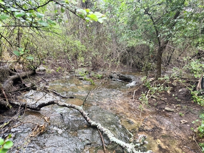 Peaceful 10.5-Acre Property in Gatesville, TX – Perfect for - image 8