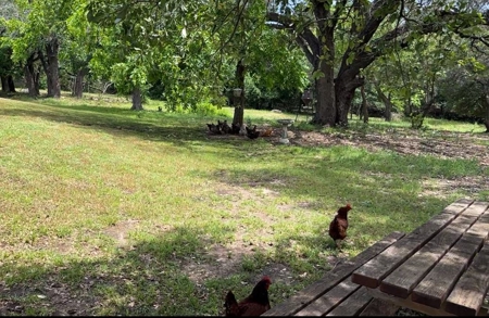 Peaceful 10.5-Acre Property in Gatesville, TX – Perfect for - image 28