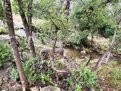 Peaceful 10.5-Acre Property in Gatesville, TX – Perfect for - image 3