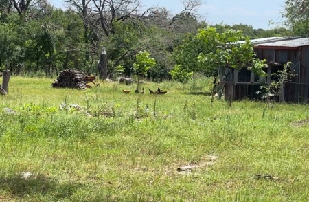 Peaceful 10.5-Acre Property in Gatesville, TX – Perfect for - image 26