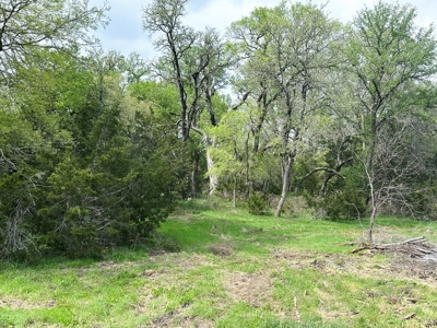 Rare Find: 46 Acres of Land for Building or Hunting - image 11