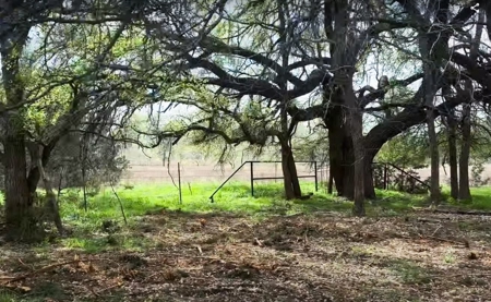 Rare Find: 46 Acres of Land for Building or Hunting - image 9