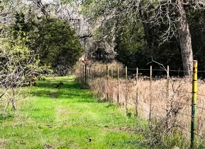 Rare Find: 46 Acres of Land for Building or Hunting - image 6