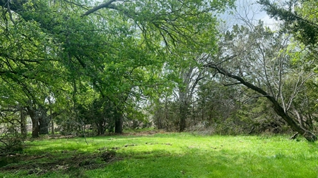 Rare Find: 46 Acres of Land for Building or Hunting - image 7