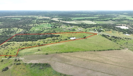 Rare Find: 46 Acres of Land for Building or Hunting - image 3