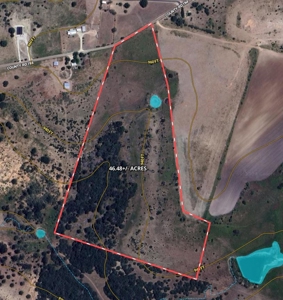 Rare Find: 46 Acres of Land for Building or Hunting - image 2